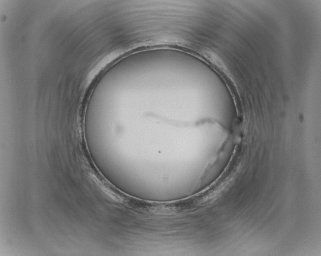 X0000062900789200602031831