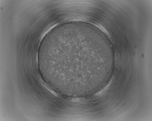 X0000062900790200602031831