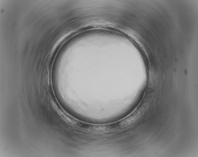 X0000062900791200602031831