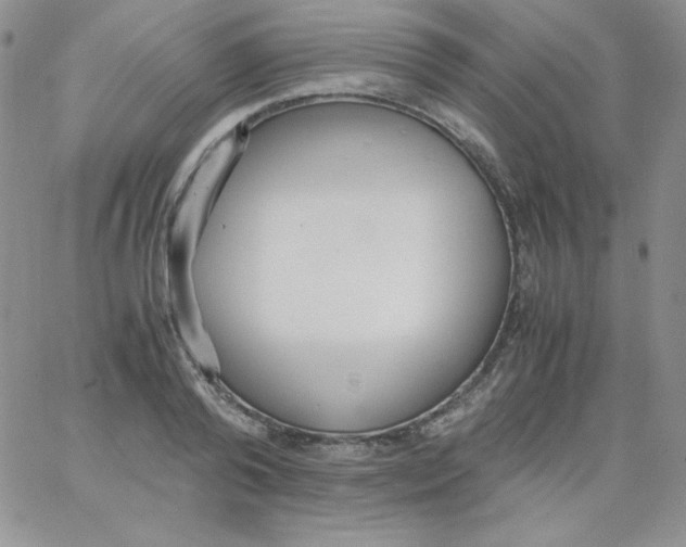 X0000062900792200602031831