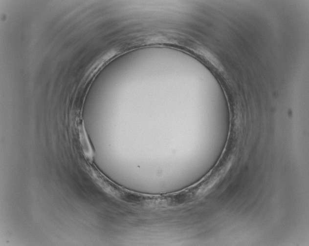 X0000062900793200602031831