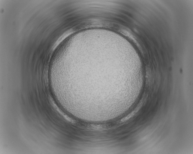 X0000062900794200602031831