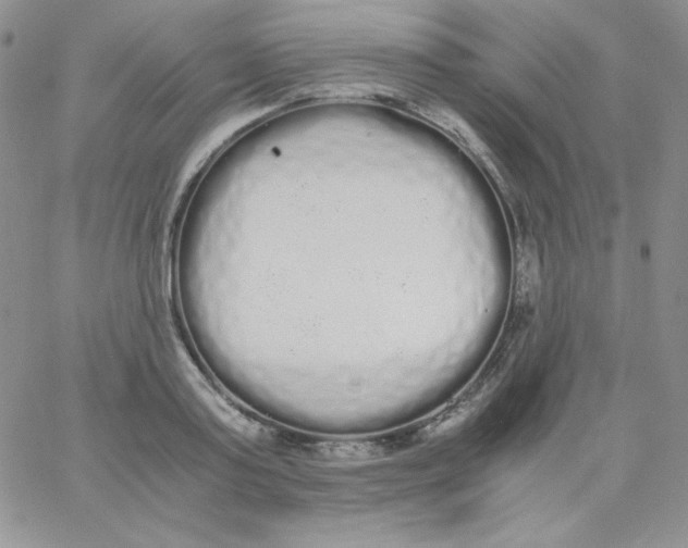 X0000062900795200602031831