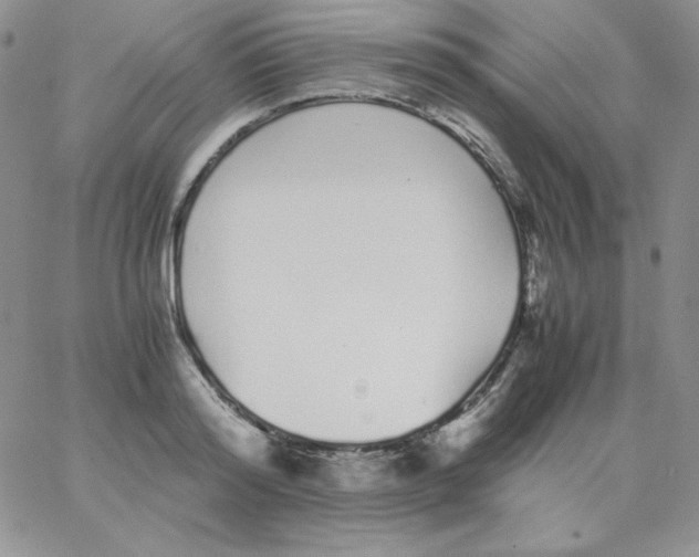 X0000062900796200602031831