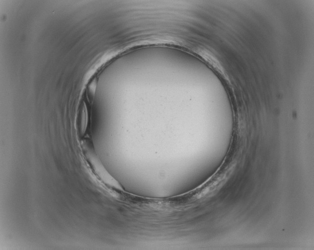 X0000062900797200602031831