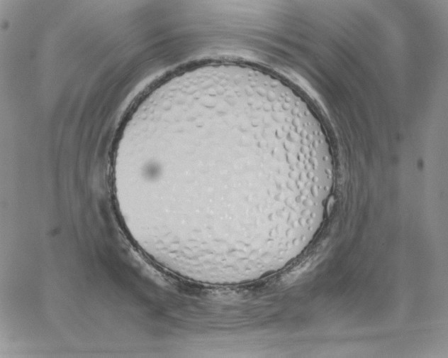 X0000062900799200602031831