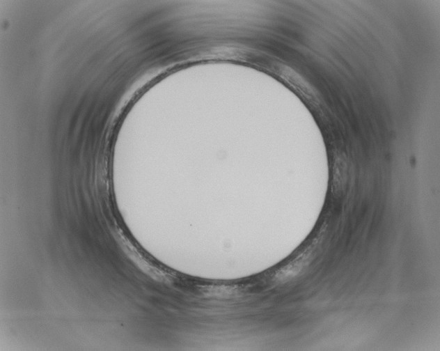 X0000062900800200602031831