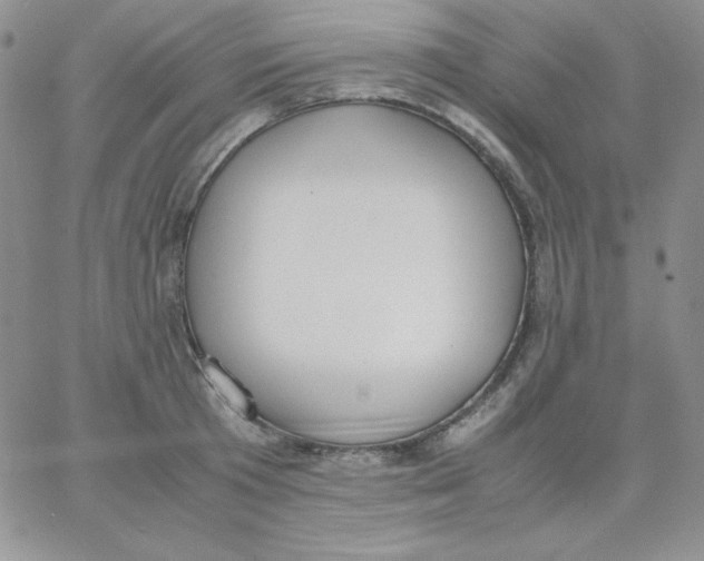 X0000062900801200602031830