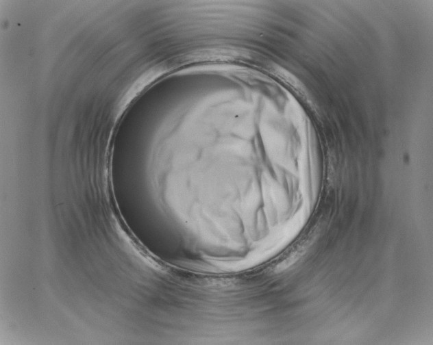 X0000062900802200602031830