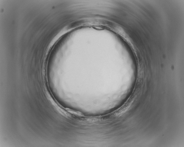 X0000062900803200602031830