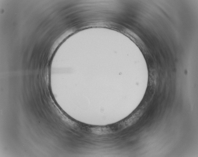 X0000062900804200602031830