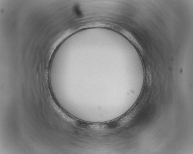 X0000062900805200602031830