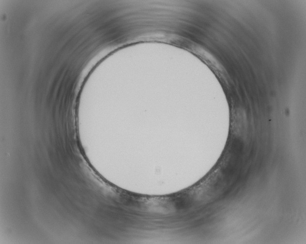 X0000062900808200602031830