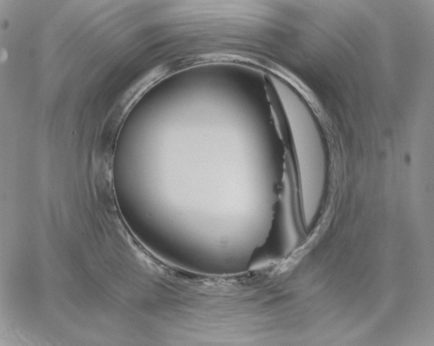 X0000062900809200602031830