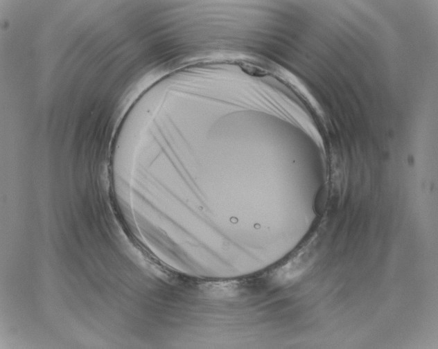 X0000062900810200602031830