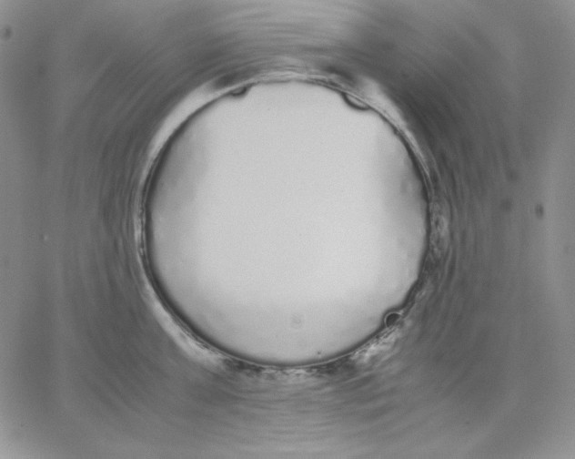 X0000062900811200602031830