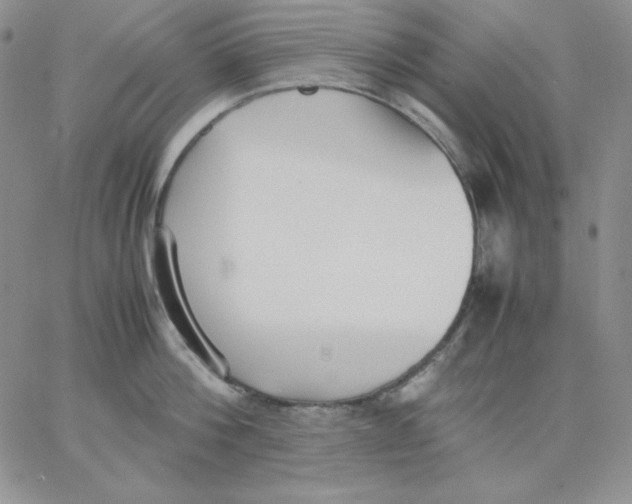 X0000062900812200602031830