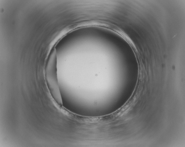 X0000062900813200602031830