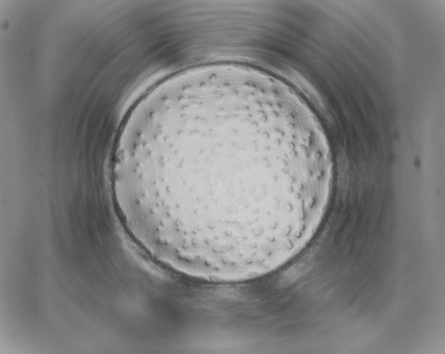 X0000062900814200602031830