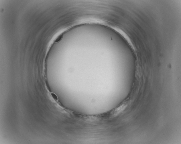 X0000062900815200602031830