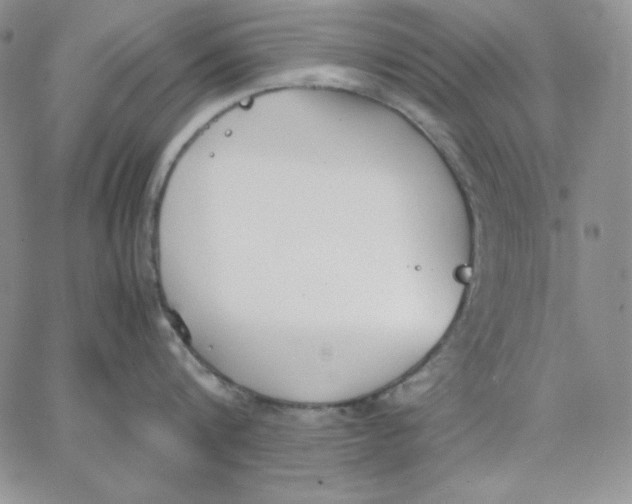 X0000062900816200602031830