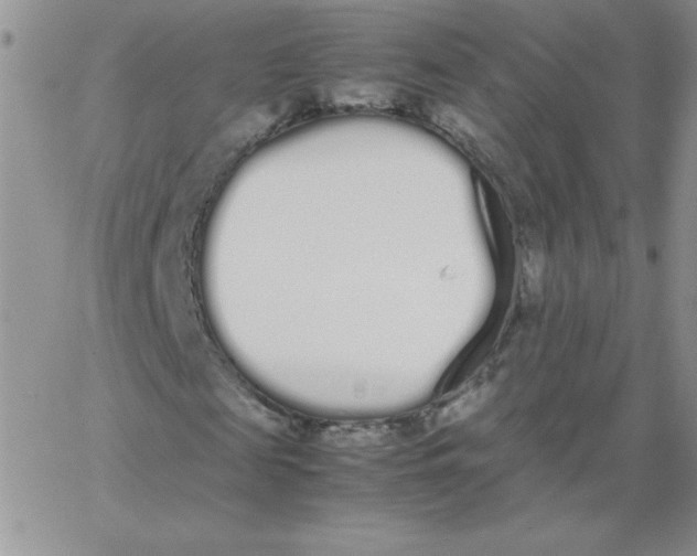 X0000062900817200602031829