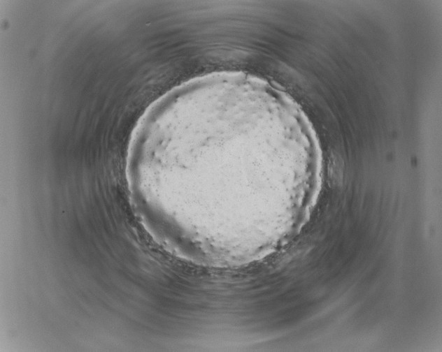 X0000062900819200602031830