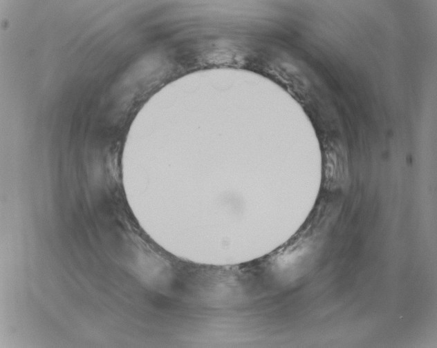 X0000062900820200602031830