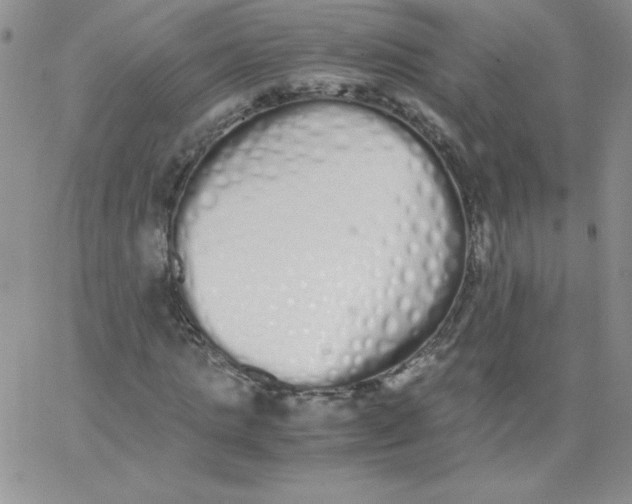 X0000062900821200602031830