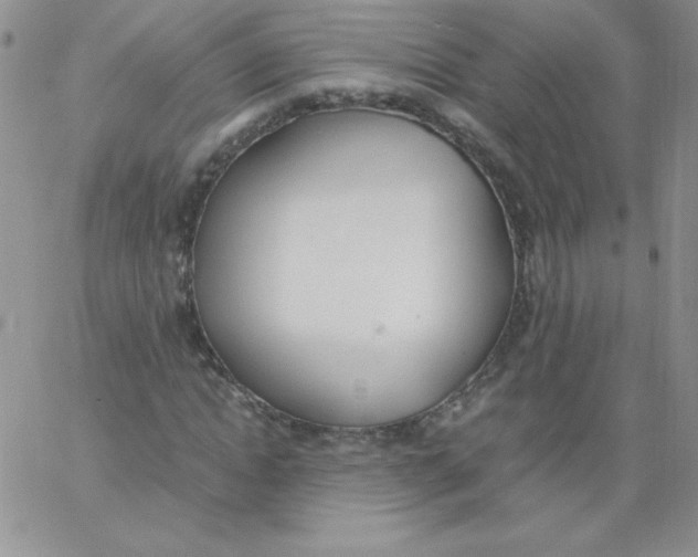 X0000062900822200602031830