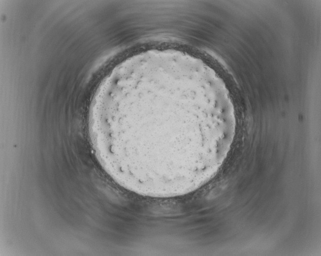 X0000062900823200602031830