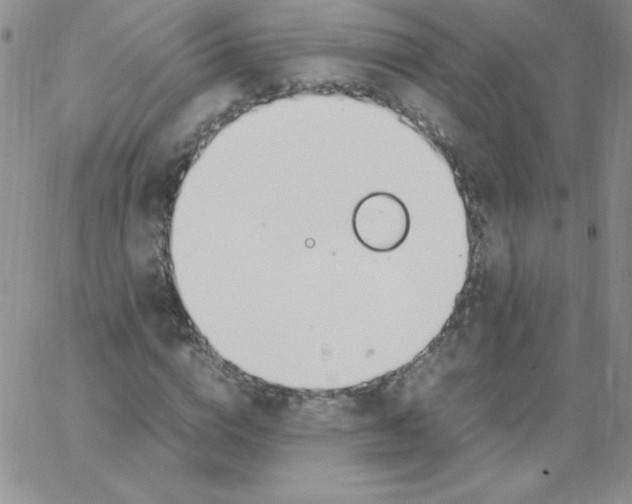 X0000062900824200602031830