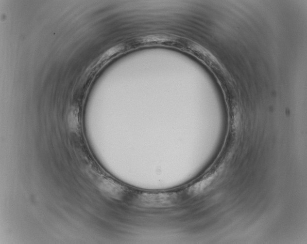 X0000062900825200602031830