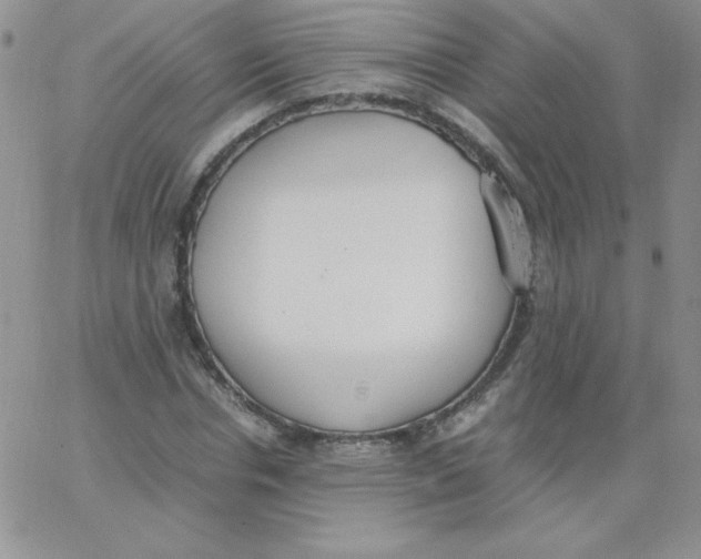 X0000062900826200602031830