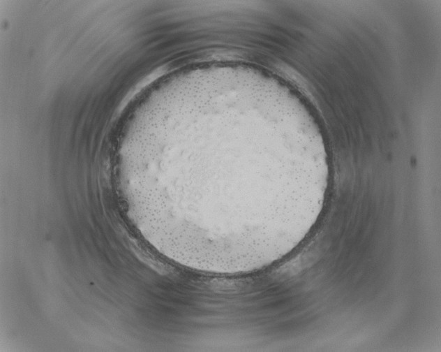 X0000062900827200602031830