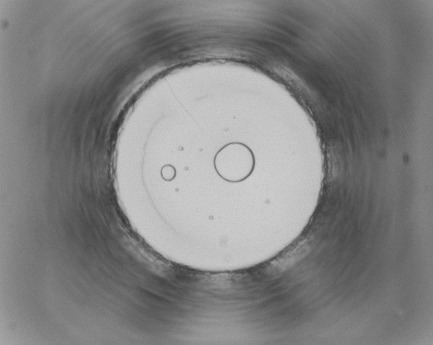 X0000062900828200602031830