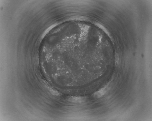 X0000062900829200602031830