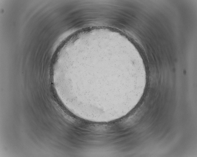 X0000062900831200602031830