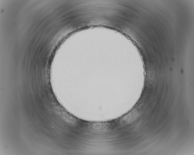 X0000062900832200602031830