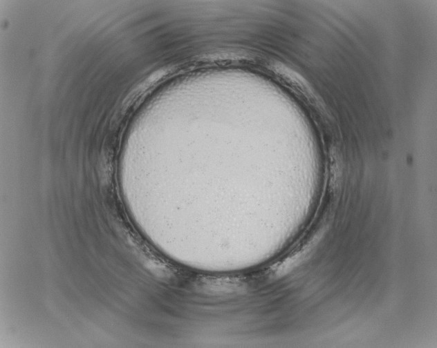 X0000062900833200602031830