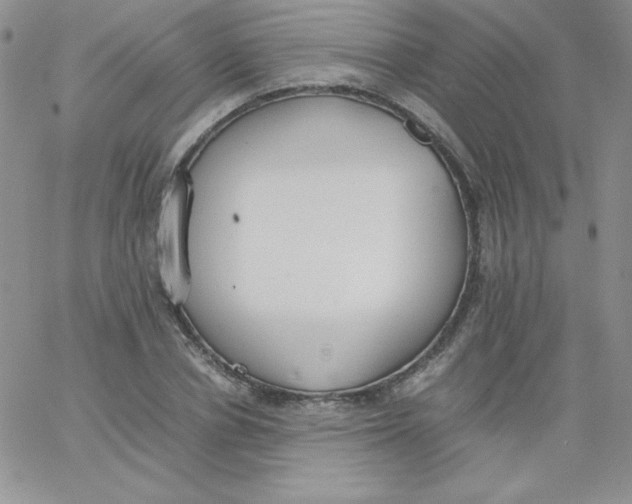 X0000062900834200602031830