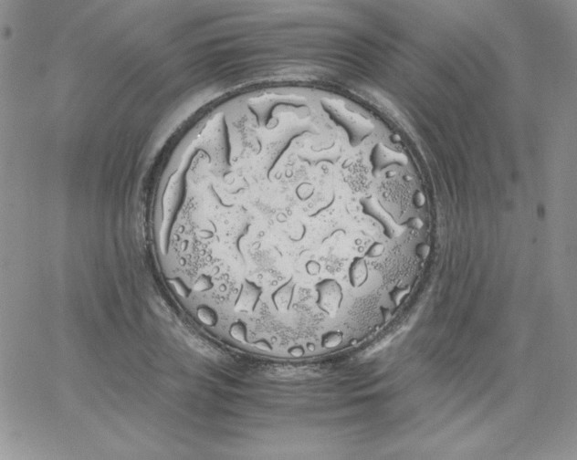 X0000062900835200602031830