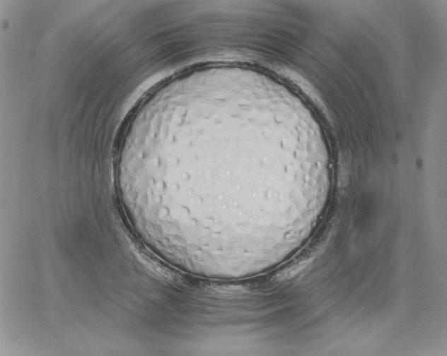 X0000062900837200602031830