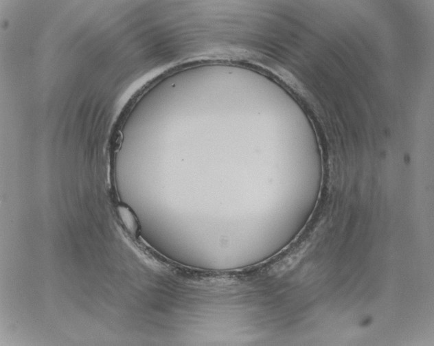 X0000062900838200602031830