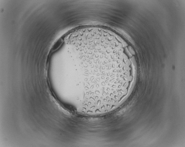 X0000062900839200602031830