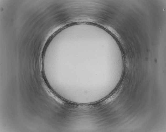 X0000062900840200602031830