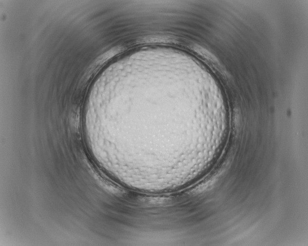 X0000062900841200602031830