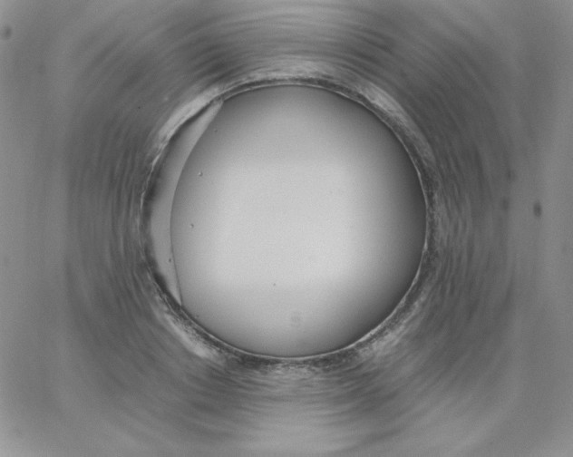 X0000062900842200602031830