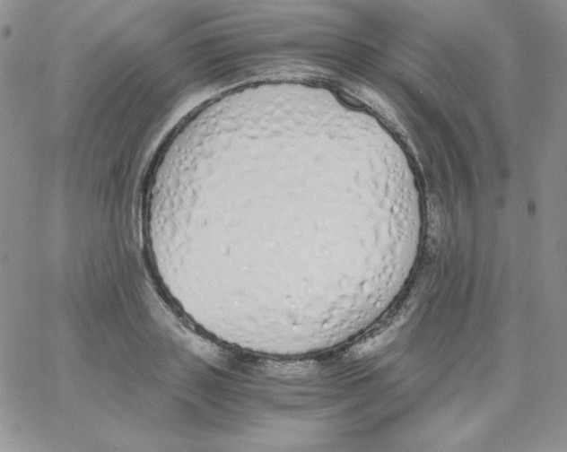 X0000062900843200602031830