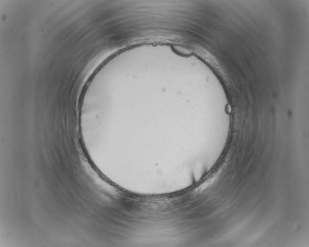 X0000062900844200602031830